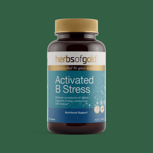 Herbs Of Gold Activated B Stress supplement featuring activated B vitamins, Holixer™ Holy basil extract and vitamin C in a convenient daily tablet.