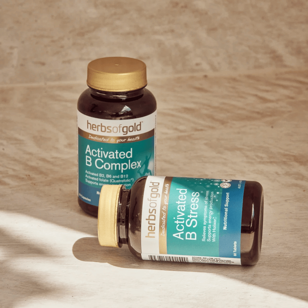 Herbs Of Gold Activated B Stress supplement featuring activated B vitamins, Holixer™ Holy basil extract and vitamin C in a convenient daily tablet.