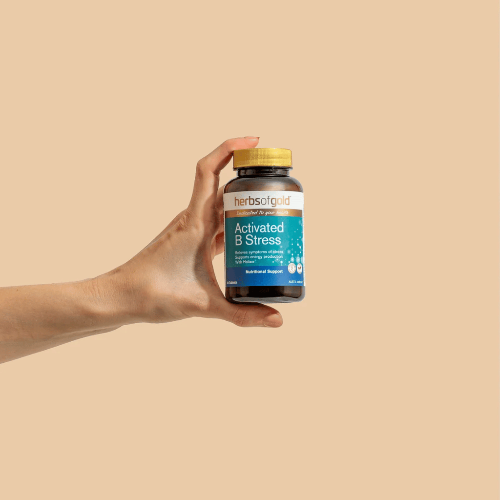 Herbs Of Gold Activated B Stress supplement featuring activated B vitamins, Holixer™ Holy basil extract and vitamin C in a convenient daily tablet.