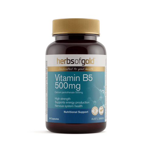 Herbs Of Gold Vitamin B5 500mg high-strength vitamin B5 supplement capsules for energy and nervous system support.