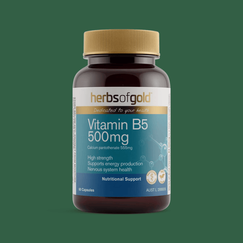 Herbs Of Gold Vitamin B5 500mg high-strength vitamin B5 supplement capsules for energy and nervous system support.