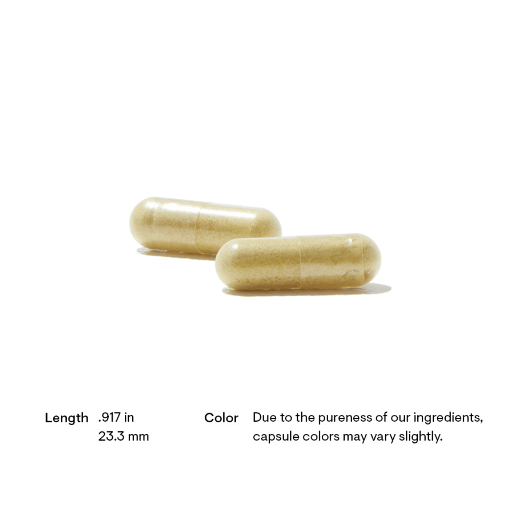 Thorne Basic Nutrients 2/Day by Thorne, multivitamin capsules in premium supplement bottle with front label packaging.
